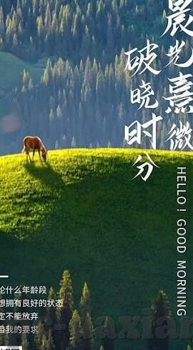 91丨porny丨国产麻豆-