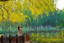 91麻豆免费下载-互联网时代下的成人娱乐内容限制，理性视角下的讨论