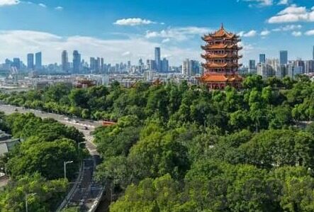 仙踪林果冻传媒观看-仙踪林果冻传媒，一场视觉与味觉的奇妙之旅